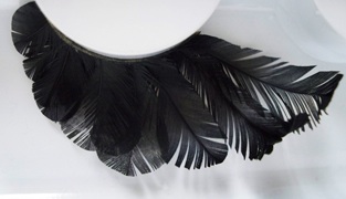 feathers feathers The Best False Lashes for Halloween